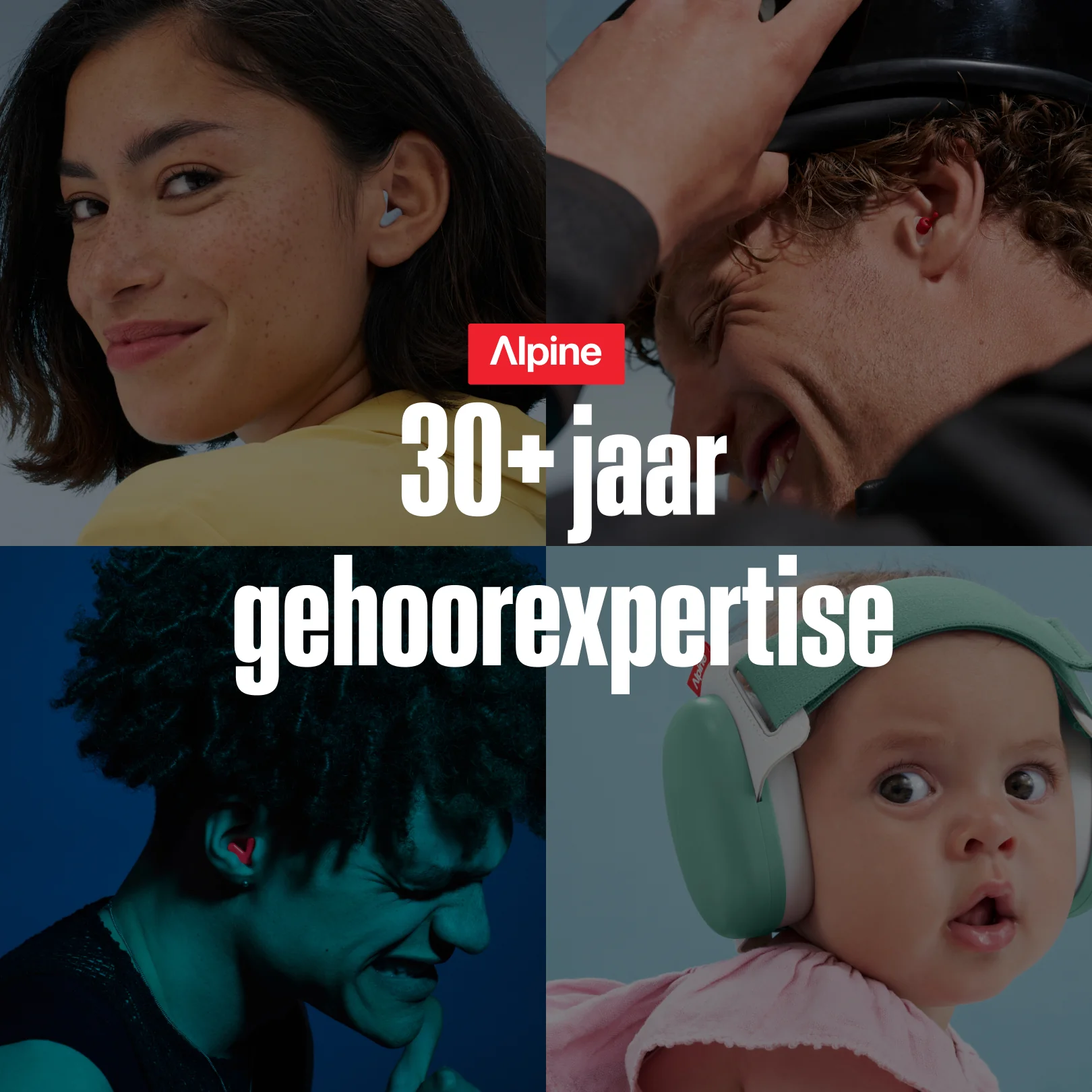 Alpine-Geschenkkarte - Image 7
